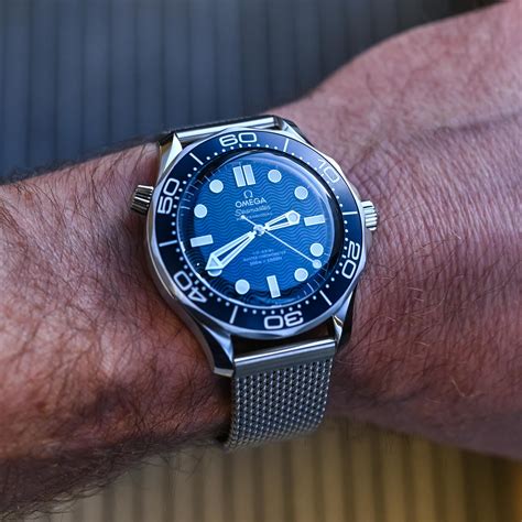 omega seamaster james diver